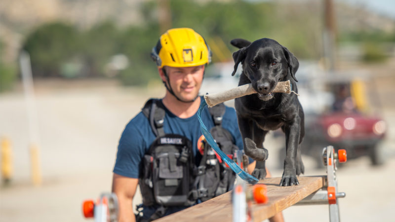 On Thursday, March 3, 2022, the Los Angeles County Fire Department (LACoFD) Search Dogs were awarded a $20,000 Disaster Relief grant and veterinary care from VCA Charities at Del Valle Regional Training Center in Castaic.
