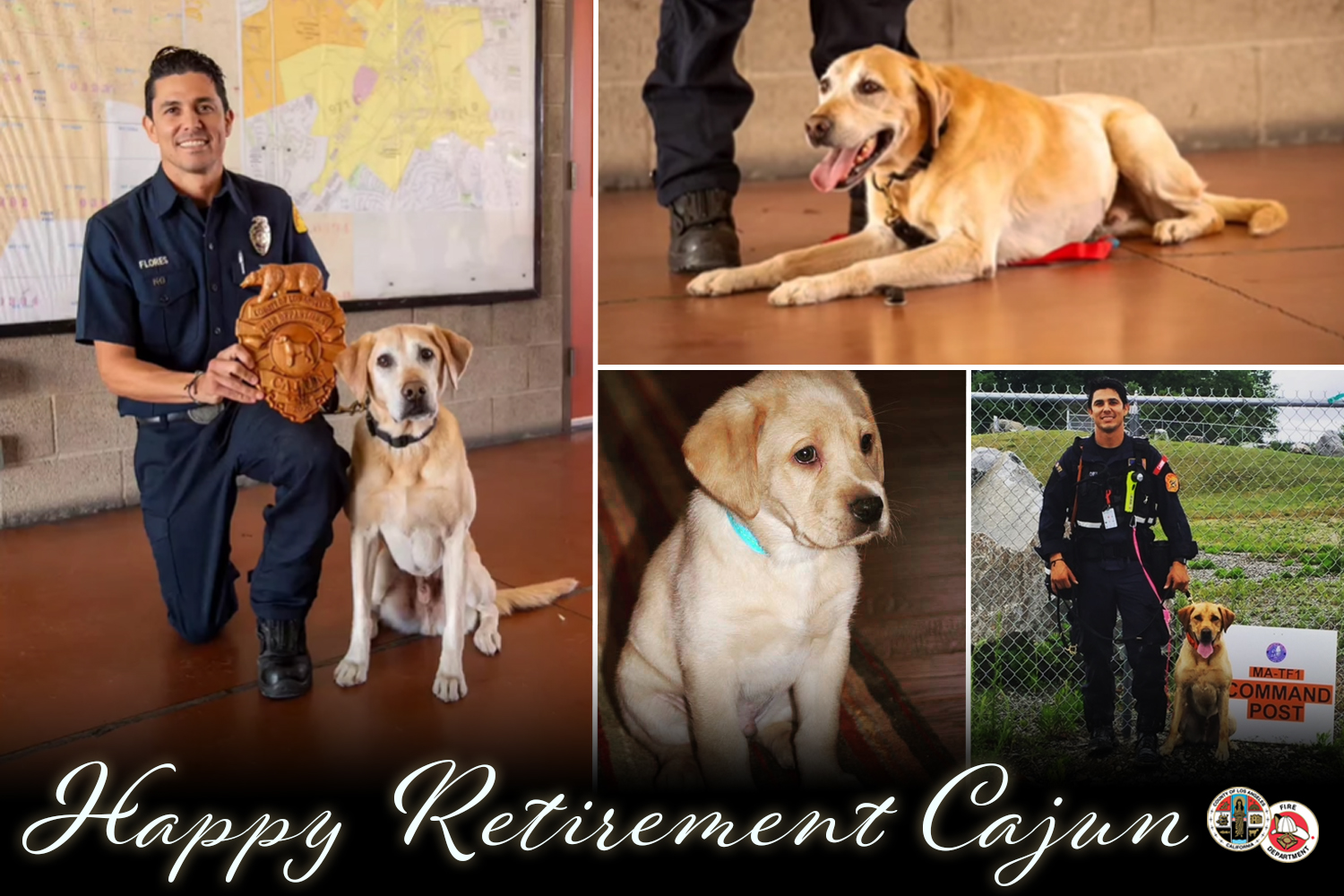 On Wednesday, November 9, 2022, the Los Angeles County Fire Department (LACoFD) honored Cajun, a lifeline canine, with a retirement ceremony at fire station 187 in Pomona.
