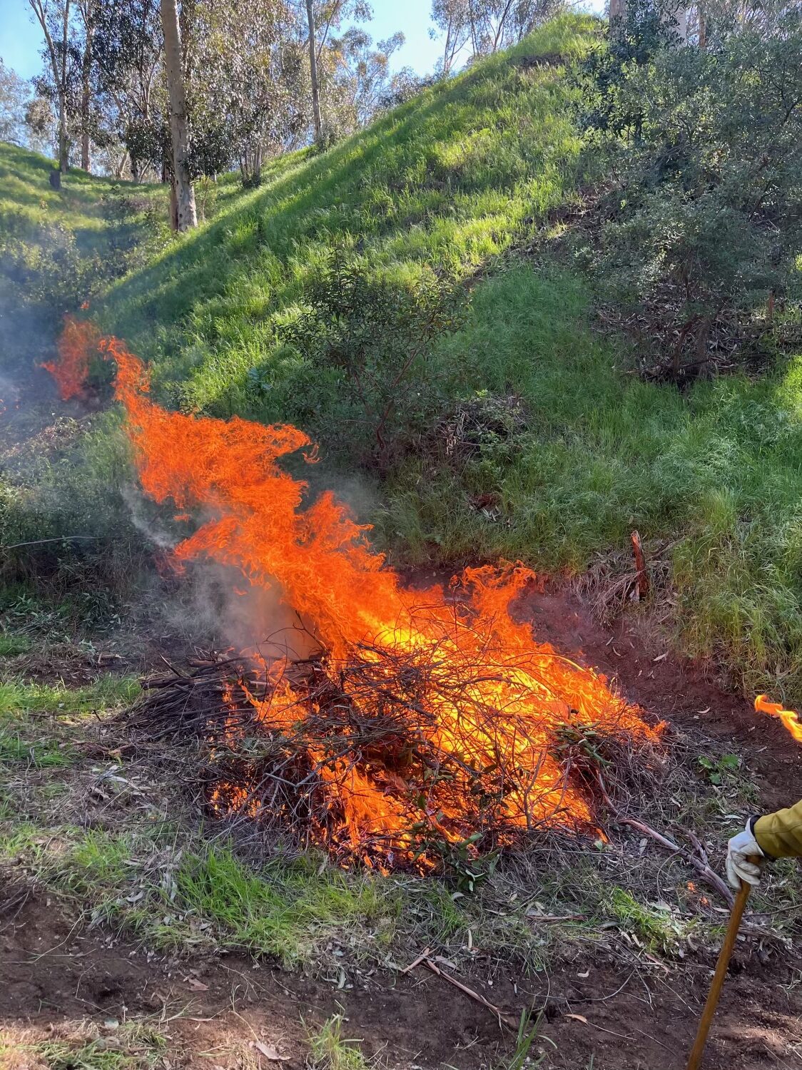 On Wednesday, March 20, and Thursday, March 21, 2024, the County of Los Angeles Fire Department (LACoFD) conducted a successful prescribed pile burn at Spinks Canyon in the Bradbury-Duarte area.