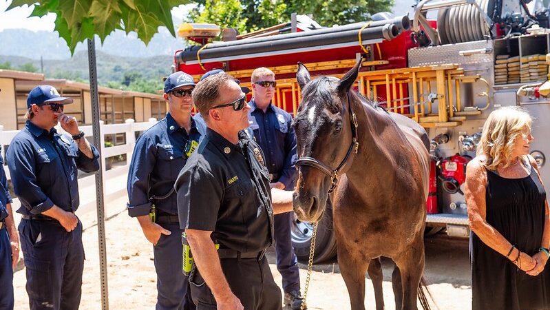 On Thursday, July 25, 2024, the County of Los Angeles Fire Department (LACoFD) received a sling donation from the Malibu Foundation to assist Battalion 5 firefighters with large animal rescues.