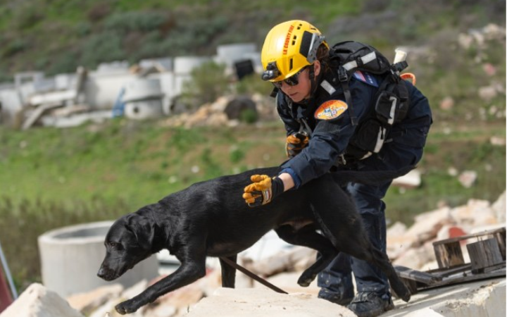 The County of Los Angeles Fire Department (LACoFD) Technical Operations Section proudly welcomes four new members to the California Task Force 2 (CA-TF2) and USA-2 K-9 Program: Fire Fighter Alexis Miller, K-9 partner Hawthorne Fire Fighter Arby Fields, and K-9 partner Greta