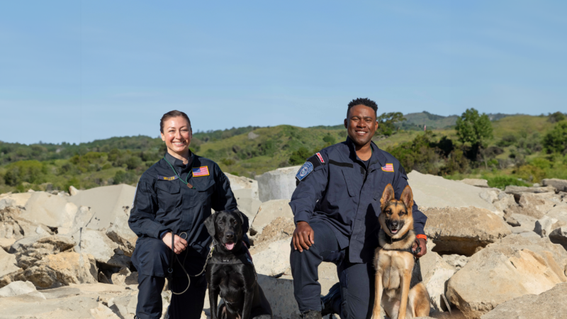 The County of Los Angeles Fire Department (LACoFD) Technical Operations Section proudly welcomes four new members to the California Task Force 2 (CA-TF2) and USA-2 K-9 Program: Fire Fighter Alexis Miller, K-9 partner Hawthorne Fire Fighter Arby Fields, and K-9 partner Greta