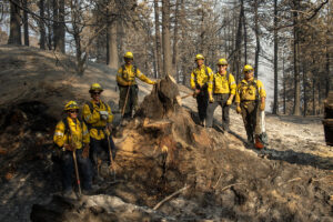 Since early September 2024, County of Los Angeles Fire Department (LACoFD) team members have played an instrumental role in dispatching resources, responding to, and managing multiple wildfires from the air and ground affecting the Southern California region.