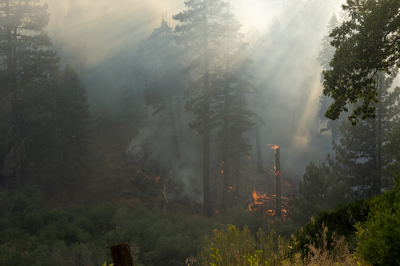 Since early September 2024, County of Los Angeles Fire Department (LACoFD) team members have played an instrumental role in dispatching resources, responding to, and managing multiple wildfires from the air and ground affecting the Southern California region.