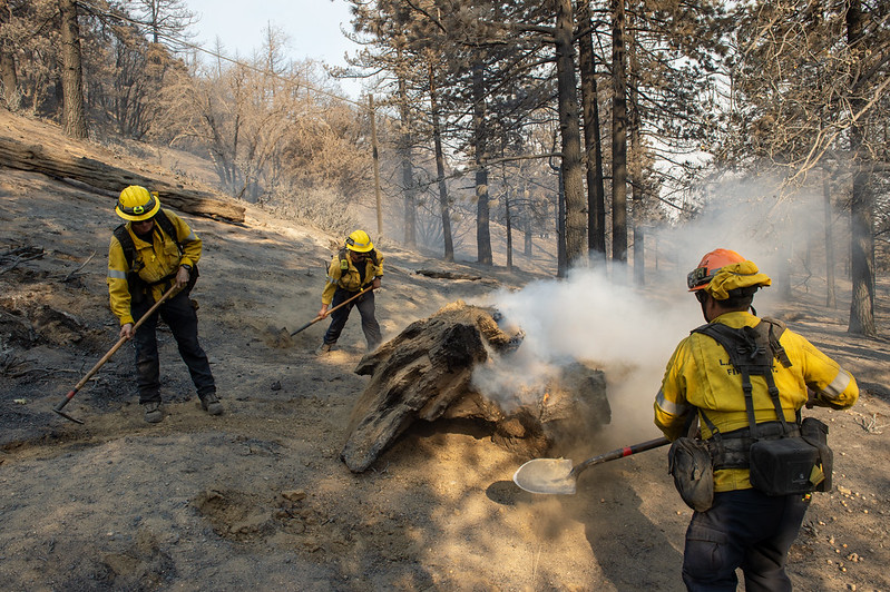 Since early September 2024, County of Los Angeles Fire Department (LACoFD) team members have played an instrumental role in dispatching resources, responding to, and managing multiple wildfires from the air and ground affecting the Southern California region.