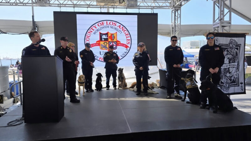 On Saturday, March 15, 2025, County of Los Angeles Fire Department (LACoFD) Fire Captain (Captain) Celina Serrano and K9 Prentiss and Fire Fighter Paramedic (FFPM) Jonathan Munguia and K9 Clifford were honored during the K9 Veterans Day celebration aboard the USS Battleship Iowa.