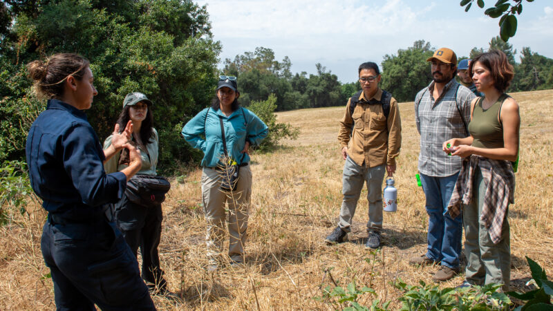 On Tuesday, June 3, 2025, the County of Los Angeles Fire Department (LACoFD) Forestry Division participated in the Goldspotted Oak Borer (GSOB) Blitz at San Dimas Canyon Park.