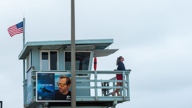 On Wednesday, June 4, 2025, Fire Chief Anthony C. Marrone joined Los Angeles County Third District Supervisor Lindsey P. Horvath, the Marine Mammal Care Center, the Department of Beaches and Harbors, and Lifeguard Division to release four sea lions into the waters at Venice Beach.