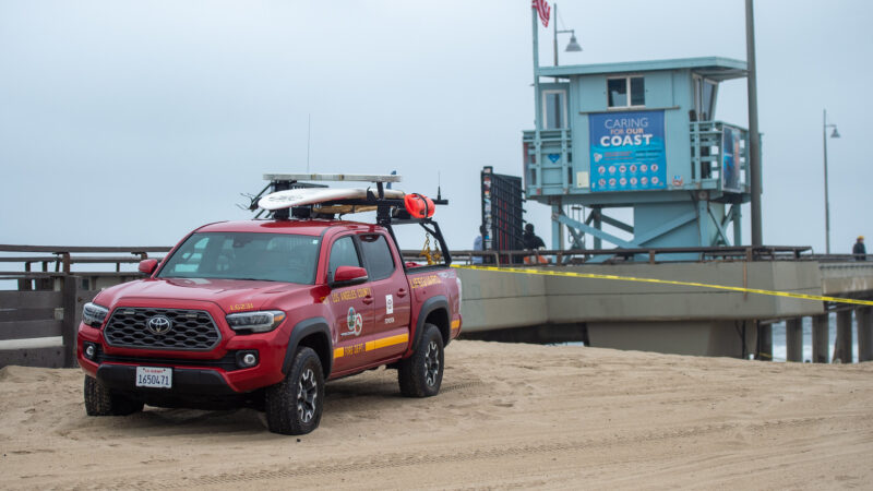 On Wednesday, June 4, 2025, Fire Chief Anthony C. Marrone joined Los Angeles County Third District Supervisor Lindsey P. Horvath, the Marine Mammal Care Center, the Department of Beaches and Harbors, and Lifeguard Division to release four sea lions into the waters at Venice Beach.