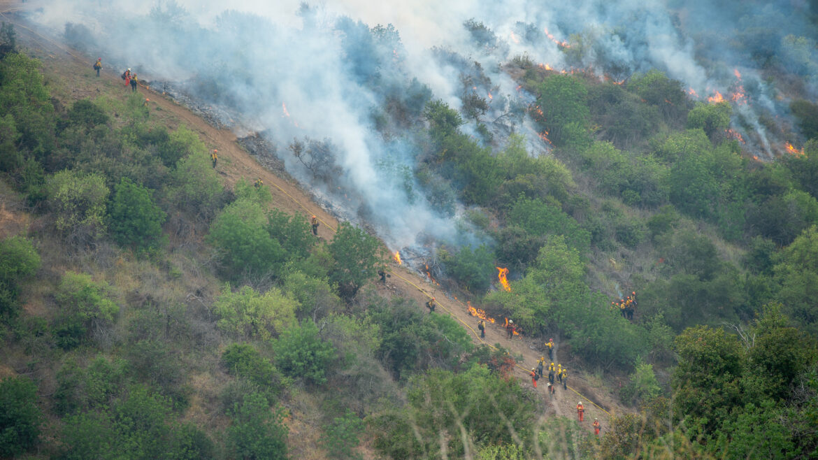 The County of Los Angeles Fire Department (LACoFD) conducted a successful two-day prescribed burn in Tonner Canyon on June 5 and June 6, 2025.