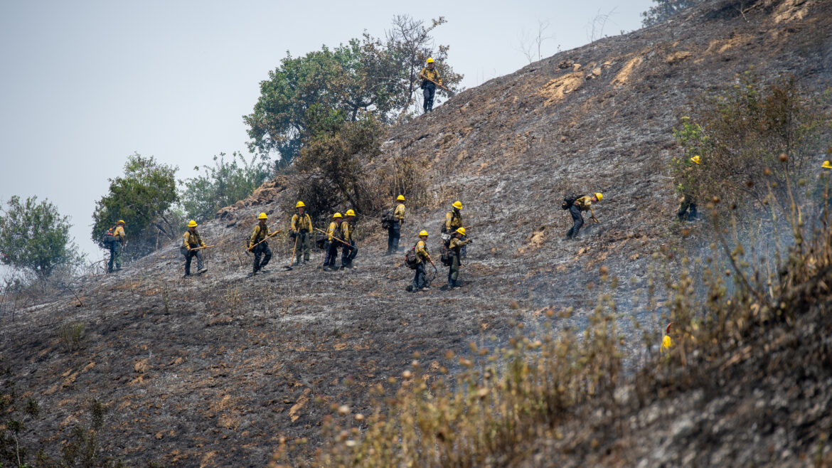 The County of Los Angeles Fire Department (LACoFD) conducted a successful two-day prescribed burn in Tonner Canyon on June 5 and June 6, 2025.