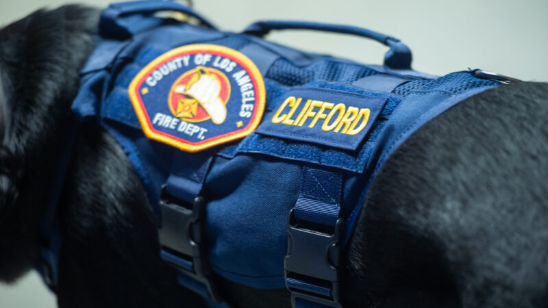 LACoFD’s Canine Teams Activated to Assist in the Aftermath of Catastrophic Flooding Impacting Central Texas