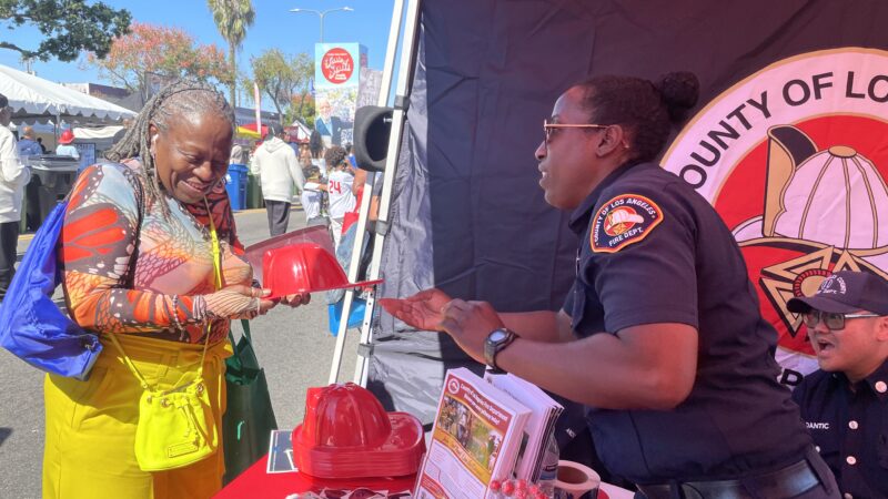 On Saturday, October 18, 2025, the County of Los Angeles Fire Department’s (LACoFD) Office of Diversity, Equity, and Inclusion was joined by the Lifeguard, Forestry, and Communications Divisions as well as the Stentorians of Los Angeles County at the 20th Annual Taste of Soul Family Festival.
