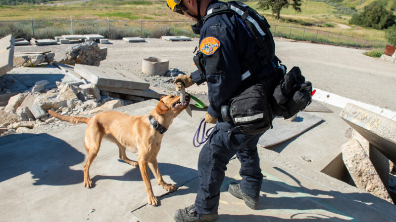 On Thursday, March 19, 2026, County of Los Angeles Fire Department (LACoFD) canine teams conducted intensive training at the Del Valle Regional Training Center to sharpen their search and recovery capabilities. These exercises ensure operational
