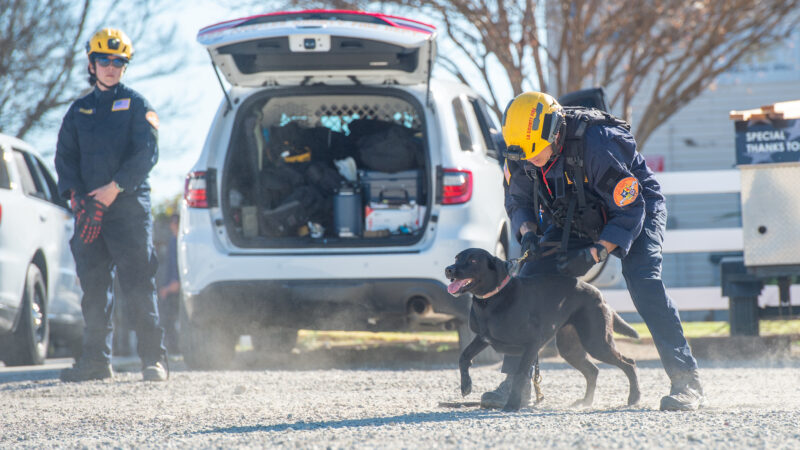 On Thursday, March 19, 2026, County of Los Angeles Fire Department (LACoFD) canine teams conducted intensive training at the Del Valle Regional Training Center to sharpen their search and recovery capabilities. These exercises ensure operational