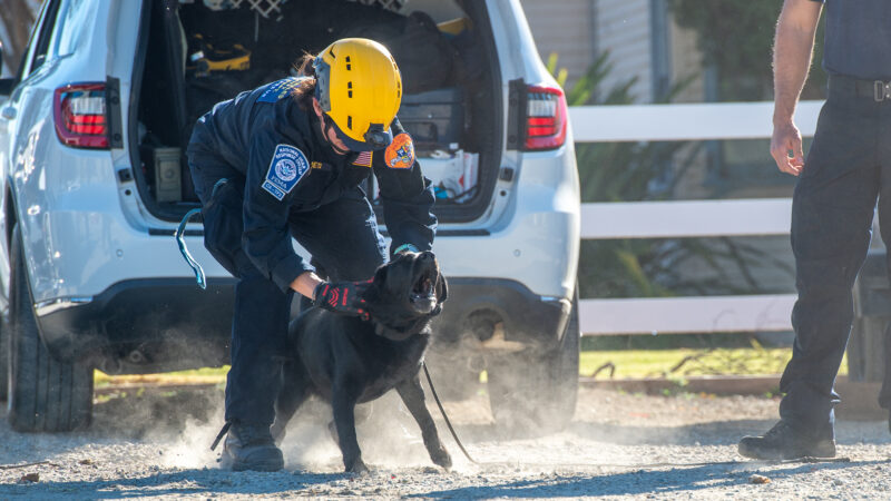 On Thursday, March 19, 2026, County of Los Angeles Fire Department (LACoFD) canine teams conducted intensive training at the Del Valle Regional Training Center to sharpen their search and recovery capabilities. These exercises ensure operational