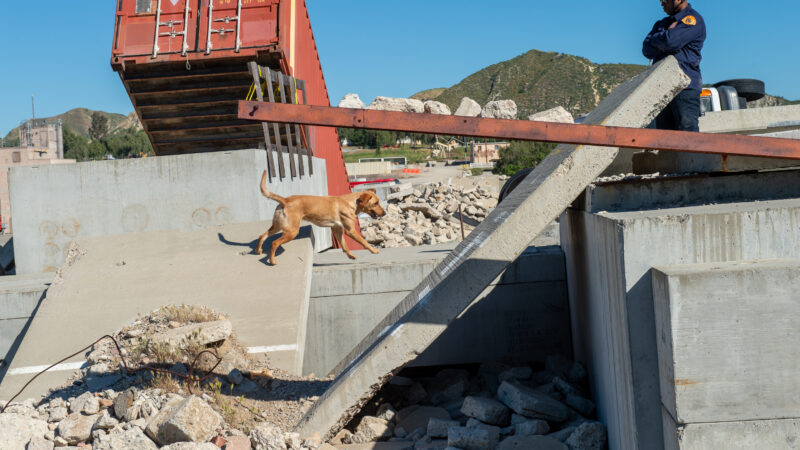 On Thursday, March 19, 2026, County of Los Angeles Fire Department (LACoFD) canine teams conducted intensive training at the Del Valle Regional Training Center to sharpen their search and recovery capabilities. These exercises ensure operational