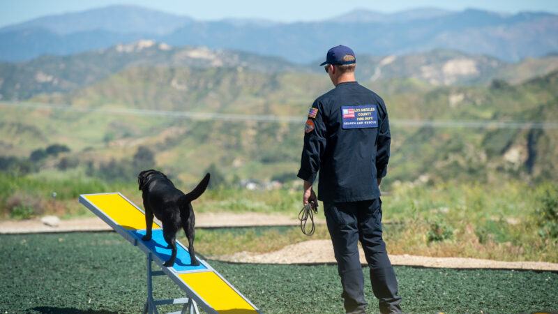 On Thursday, March 19, 2026, County of Los Angeles Fire Department (LACoFD) canine teams conducted intensive training at the Del Valle Regional Training Center to sharpen their search and recovery capabilities. These exercises ensure operational
