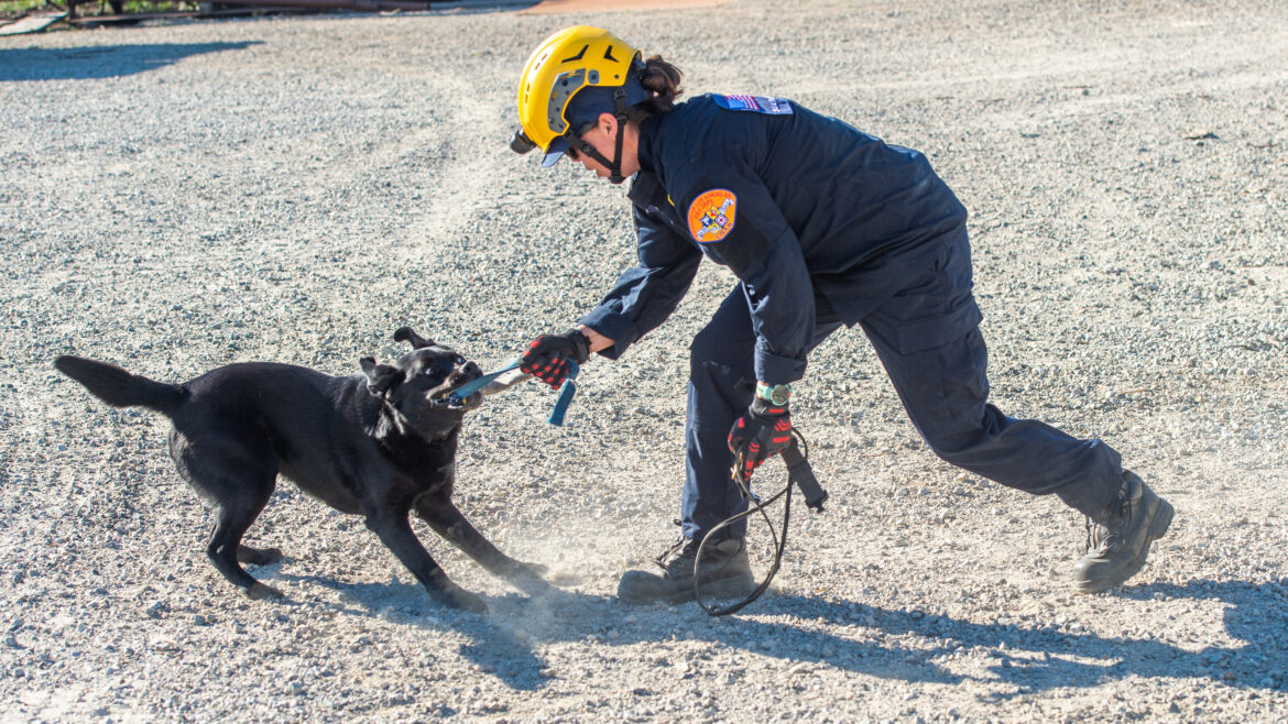 On Thursday, March 19, 2026, County of Los Angeles Fire Department (LACoFD) canine teams conducted intensive training at the Del Valle Regional Training Center to sharpen their search and recovery capabilities. These exercises ensure operational
