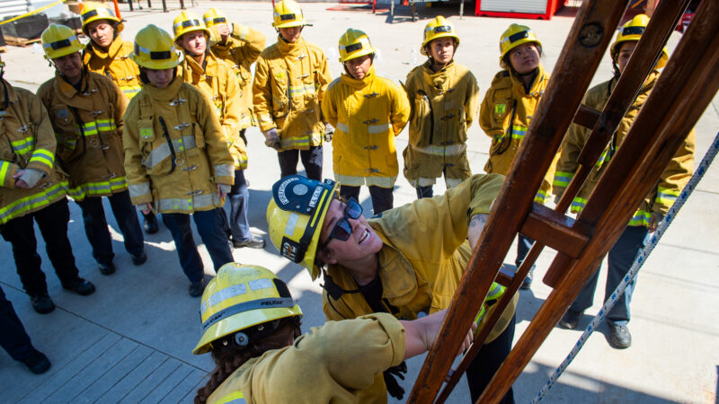 On Saturday, April 4, 2026, the County of Los Angeles Fire Department (LACoFD) and Women’s Fire League tenth annual Women’s Fire Prep Academy (WFPA) concluded with 66 participants successfully completing the rigorous training.